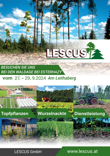 BESUCHEN SIE UNS BEI DEN WALDTAGE BEI ESTERHAZY