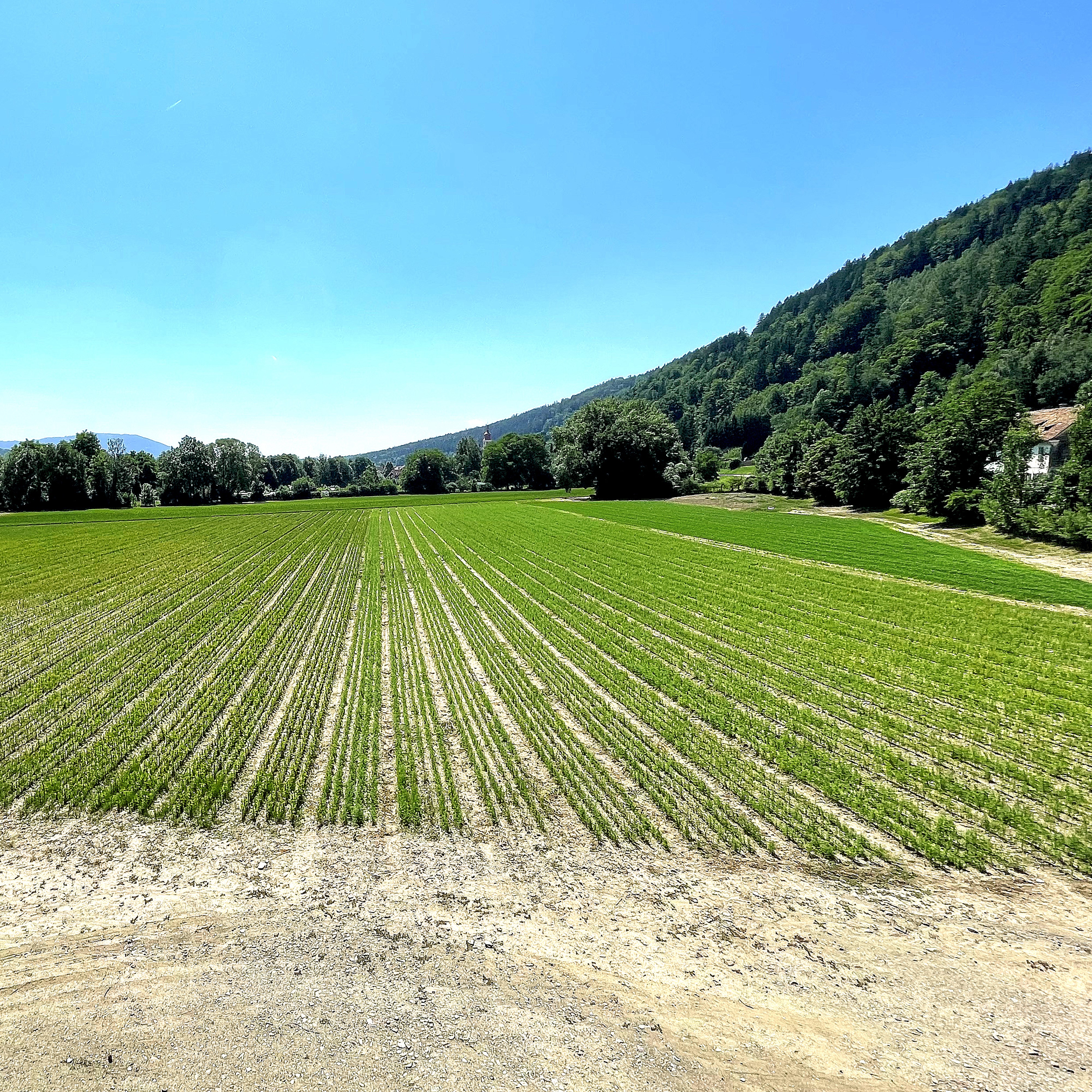 Forstbaumschule Krieglach